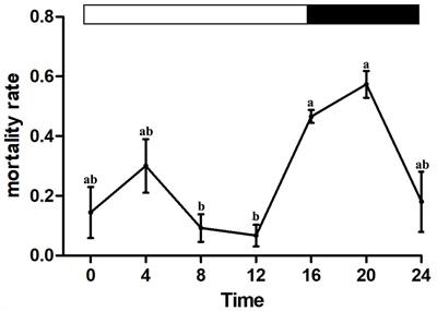 Time of Day-Specific Changes in Metabolic Detoxification and Insecticide Tolerance in the House Fly, Musca domestica L.